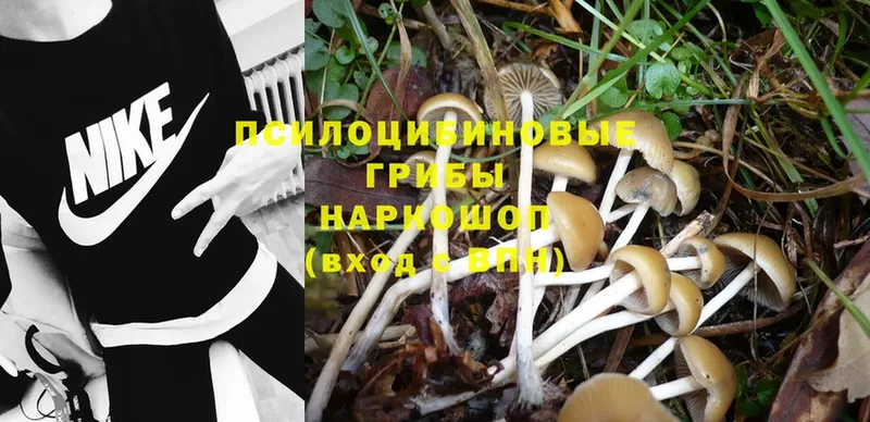 МЕГА зеркало  Ставрополь  Псилоцибиновые грибы Magic Shrooms  дарнет шоп 